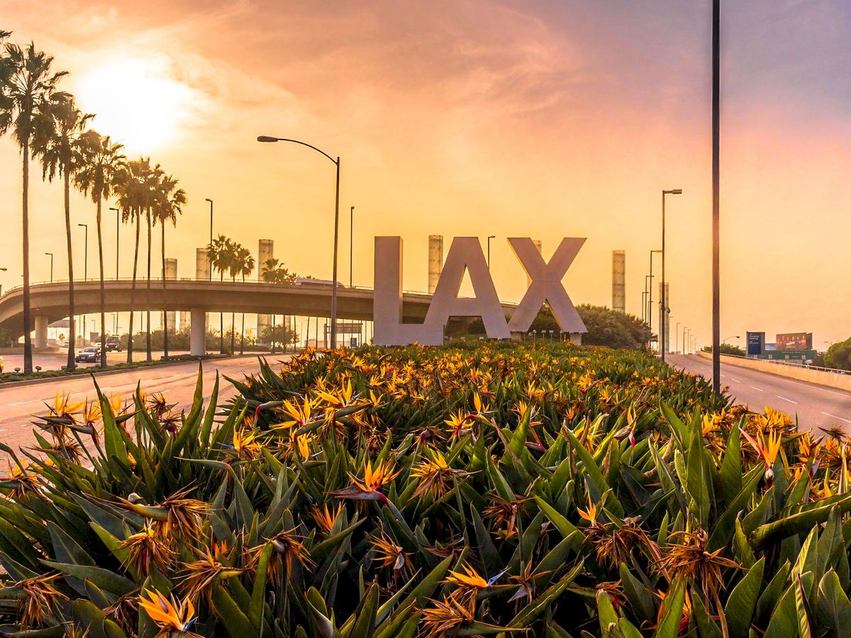 Large LAX sign with vibrant flowers and palm trees, against a sunset sky, near a road at Los Angeles International Airport.