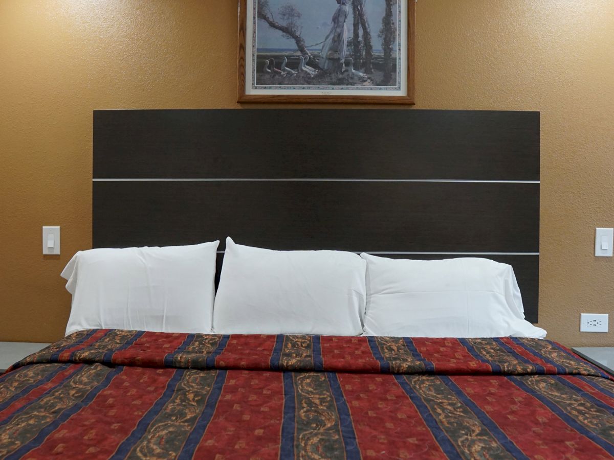 The image shows a neatly made bed with white pillows and a patterned bedspread in a room with brown walls and a framed picture above the headboard.